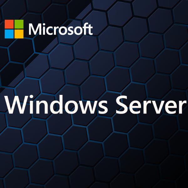 WINDOWS SERVER CAL 2025IT 1U CAL