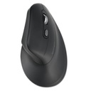 Rechargeable mouse Pro Fit Ergo EQ