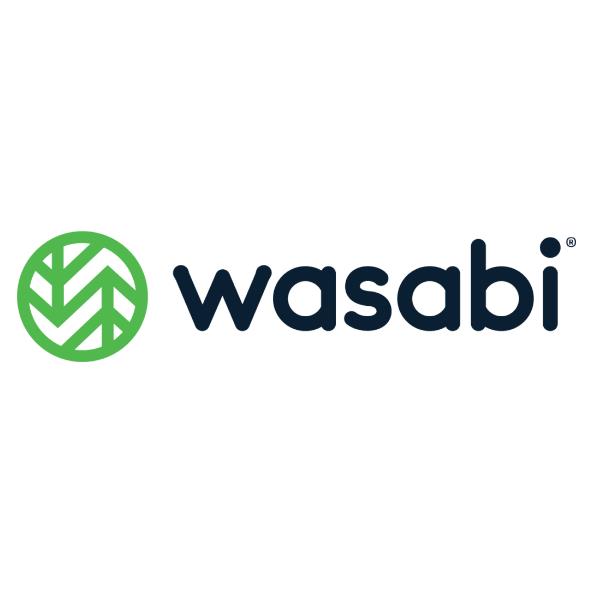 WASABI C NAS 100TB 1 YEAR