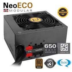 [NE650M] NE650M EC SEMI MODULAR