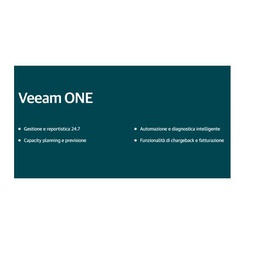 [V-ONE000-VS-P1M] MONTHLY BAS MAINT REN V-ONE VMWARE