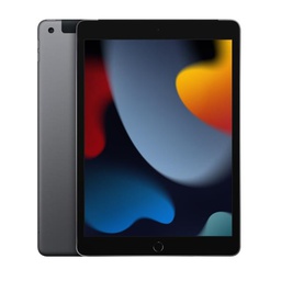 [MK473TY/A] IPAD WI-FI CL 64GB SPG