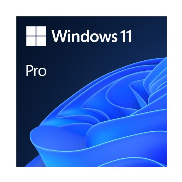 Win Pro 11 64bit it 1pk DSP Oei DVD