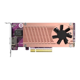 [QM2-2P10G1TB] DUAL M.2 2280 PCIE SSD/SINGLE-10GBE