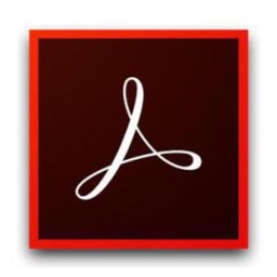 [65301127BC0312M] ACRO STD DC ENT ML FRL Sub R