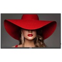 43 UHD 24/7 500 Nits monitor