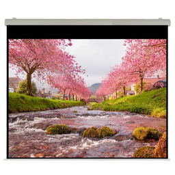 [SOP5451HTRN] EL PROFESSIONAL HT RN450X338 RUBIN