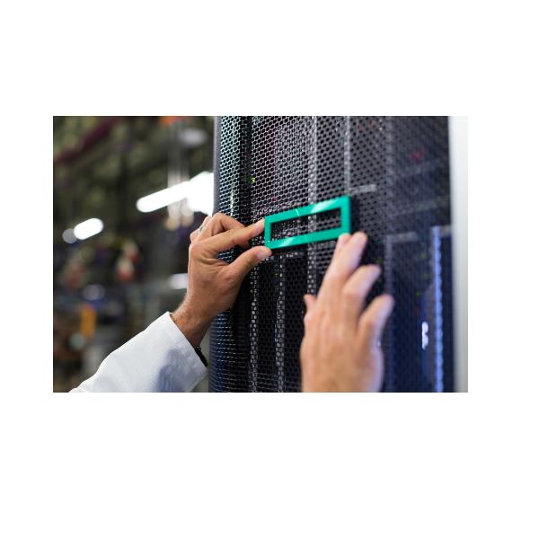 HPE DL320 Gen11 NS204I-U NVMEKIT