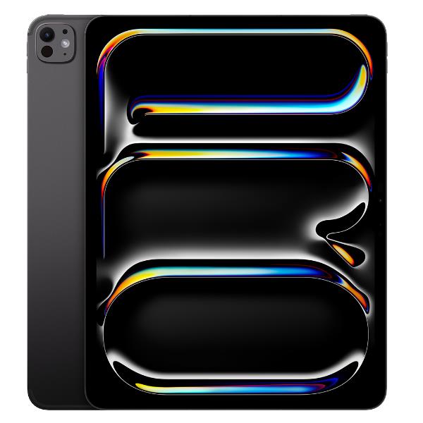 IPAD PRO 13" WF CL 256GB SP BLK