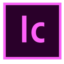 [65322946BA0312M] Incopy pro Ent ML Sub n