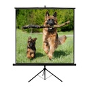 TP New Junior 240x240