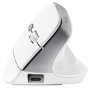 Bayo+ Ergonomic Wireless Mouse WHT