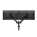DUAL MONITOR ARM WITH USB HUB